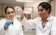 UAQ fomenta