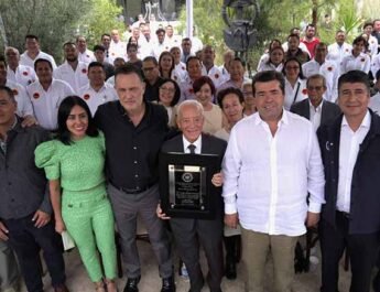 desarrollo de