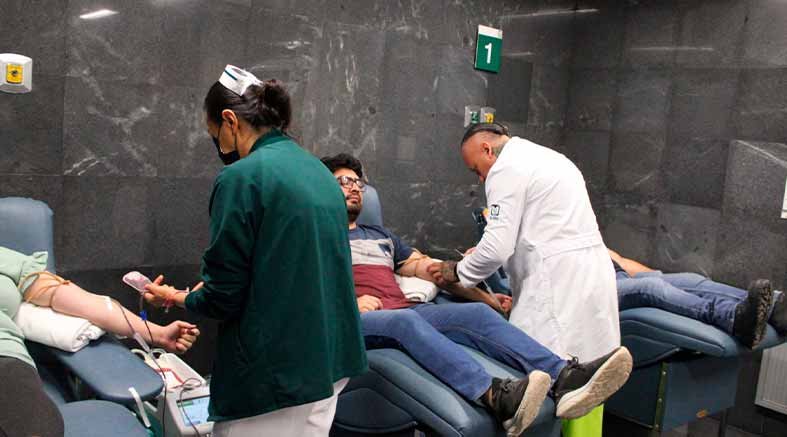 donación altruista