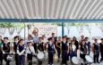 instrumentos a