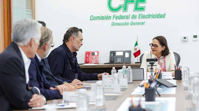 CFE estabilizar 