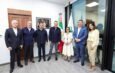 CFE estabilizar