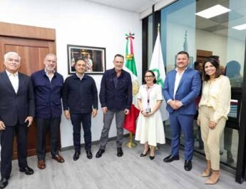 CFE estabilizar