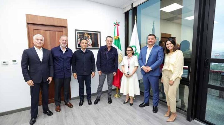 CFE estabilizar