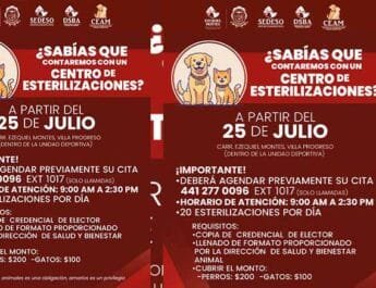 Campañas de