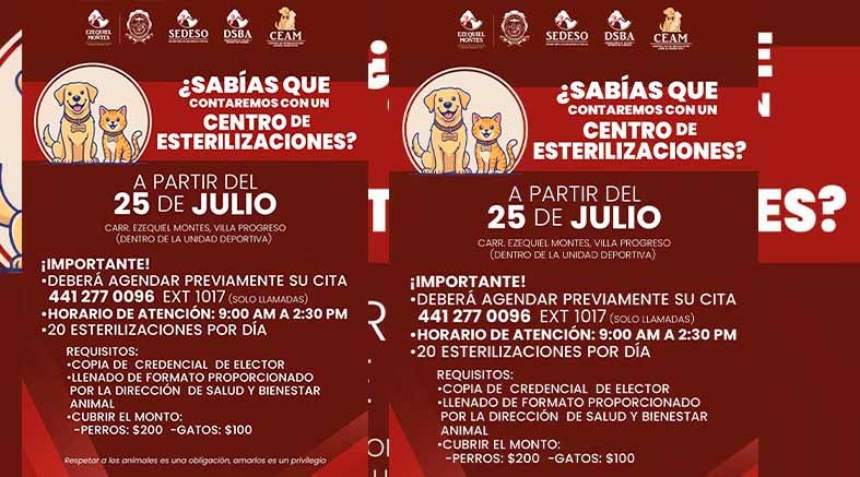 Campañas de