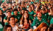 MéxicQ