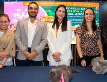 Miau