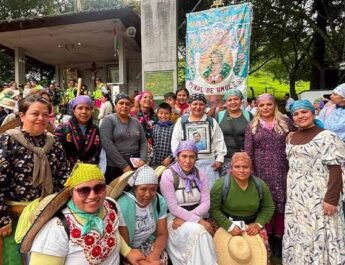 Peregrinación Neblinas