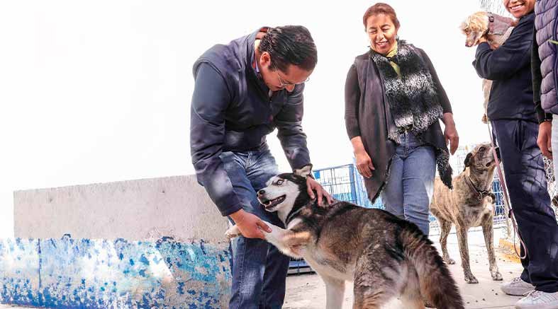 Arranca 2da etapa de esterilización animal en Corregidora 4 esterilización animal