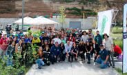 jornada de reforestación