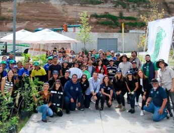 jornada de reforestación