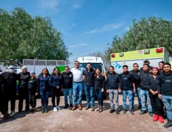 servicios veterinarios