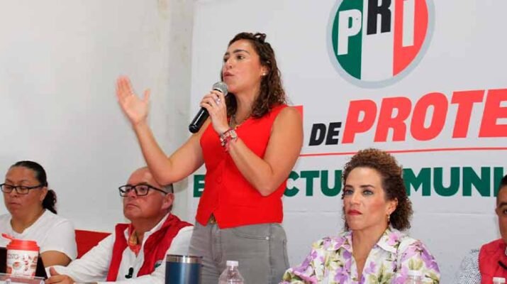 Consejo Político