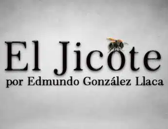 Las autoridades