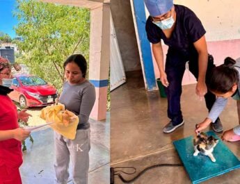 canina y felina