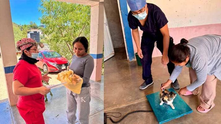 canina y felina