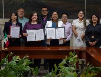 colaboración para