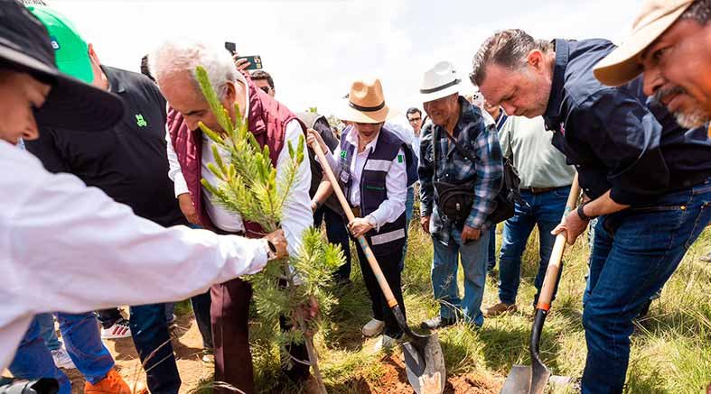 Querétaro participa en la Jornada Nacional de Reforestación 4 de Reforestación