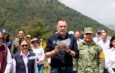 de Reforestación
