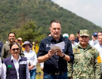 de Reforestación