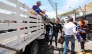 fortalece recolección
