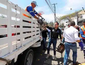 fortalece recolección