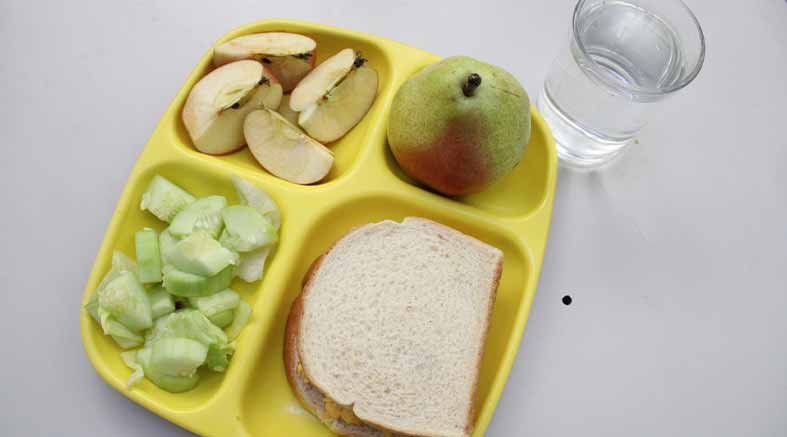 lunch saludable