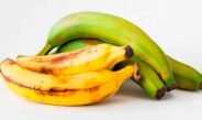 Plátano