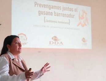Refuerzan acciones