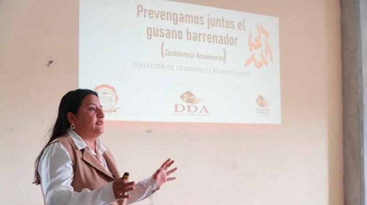 Refuerzan acciones