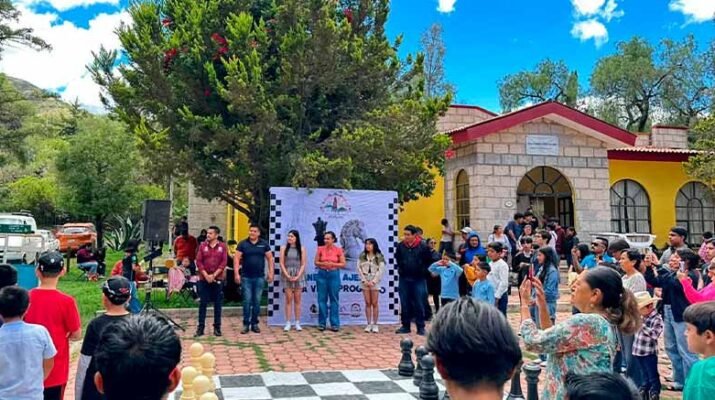 desarrollo juvenil