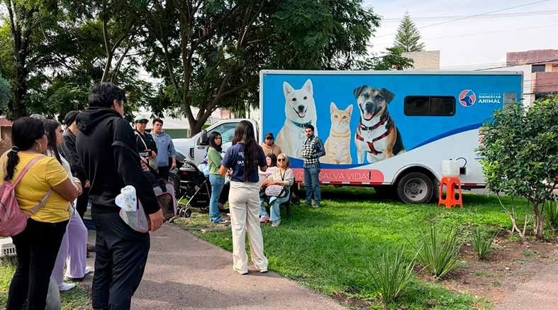 Fortalecen acciones en favor de animales de compañía en Querétaro 4 favor-de