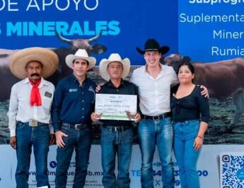 inversión para