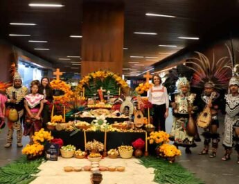 Anuncian Festival