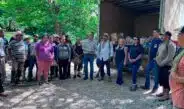 El Timbre