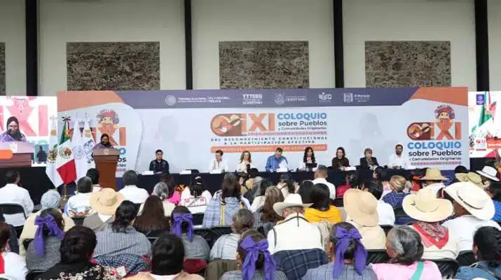 Realizan XI