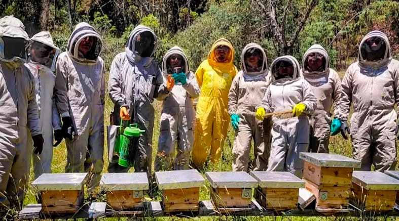  proteger abejas